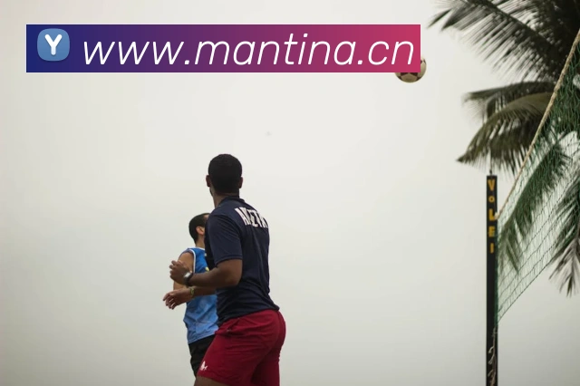 乐竞官网网页版入口APP 封面图